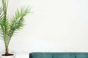 Interior stock photo with palm tree and sofa